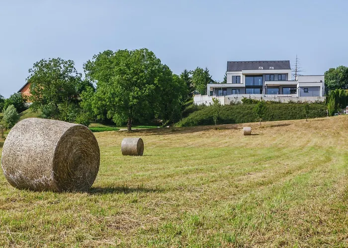 Hirundo- With Saunas And Hot Tub 别墅 Sela pri Dobovi